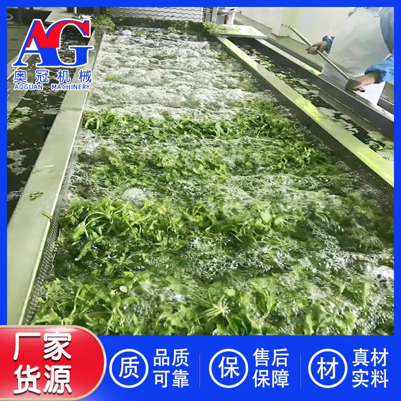 贵州农业加工项目用清q洗设备 蔬菜经济作物清洗漂汤加工流水线