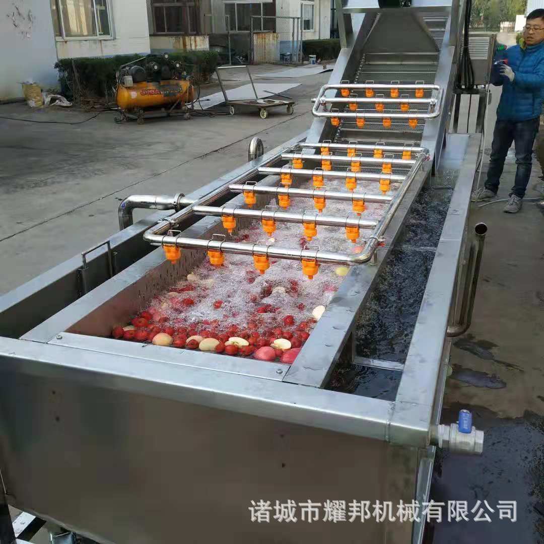 苦苣菜芒果气泡喷淋清洗机