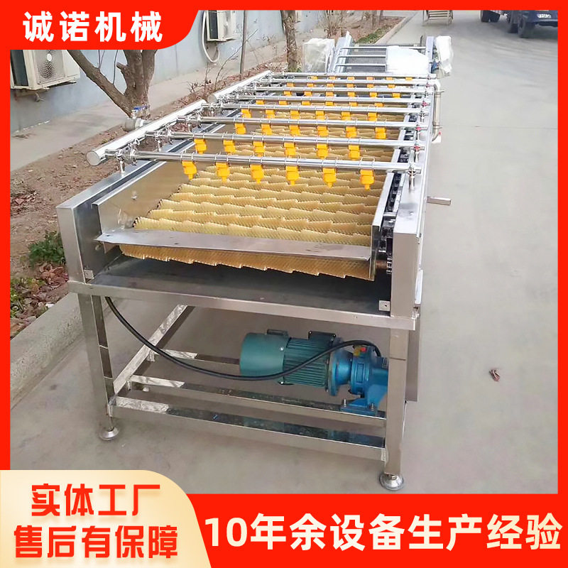 全自动毛辊清洗机百香果夏威夷果