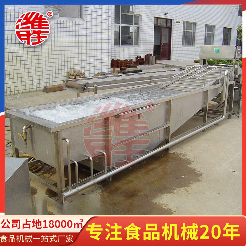 全自动喷淋气泡清洗机蔬果净