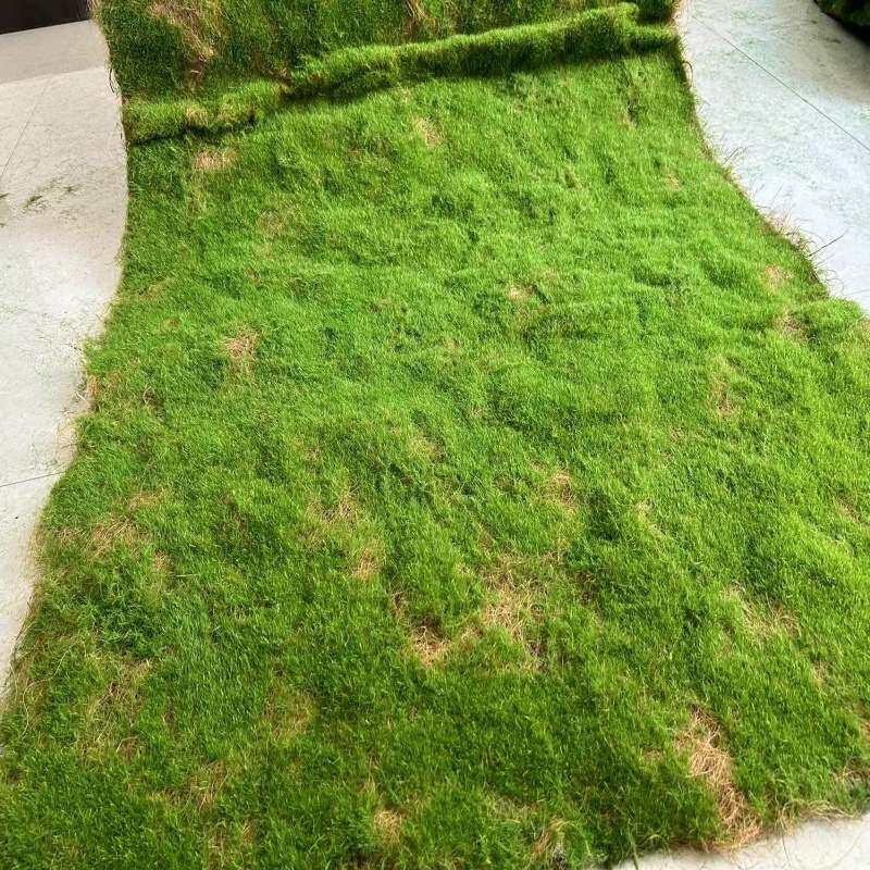 仿真苔藓植绒绿色假苔藓 青苔微景观盆景装饰材料 草坪草皮装饰品