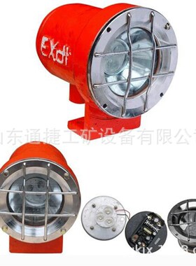 DGS24/127L(A)矿用隔爆型LED投光灯 K煤矿用DGS系列隔爆型投光灯