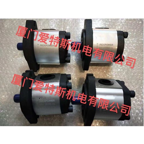 REXPOWER锐力齿轮泵RGP-F306R/RGP-F308R/RGP-F310R现货