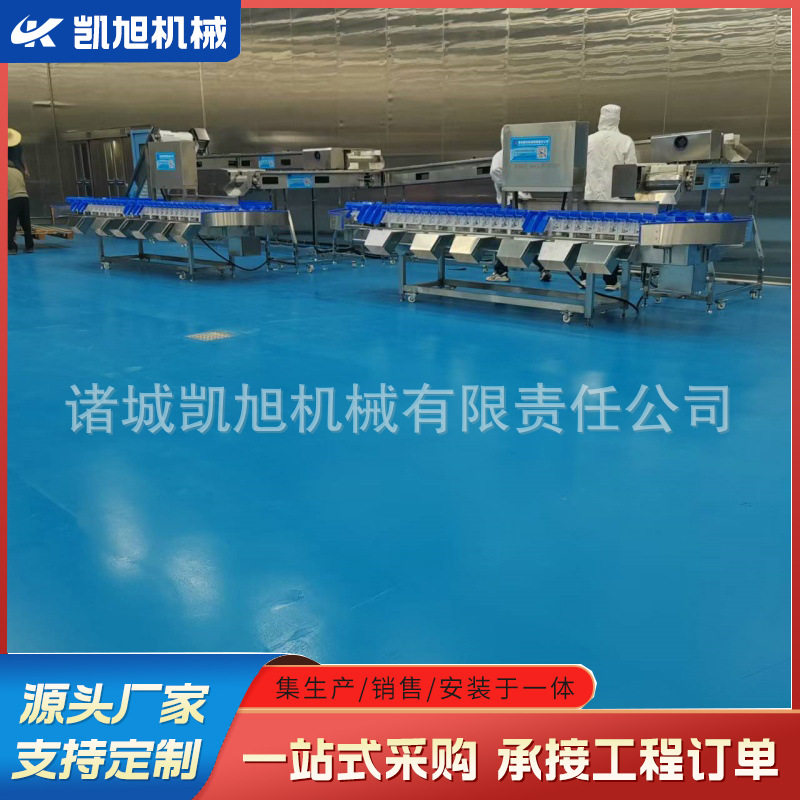 油桃水蜜桃小型选果机 甜瓜香瓜自动称重分果机 大型果蔬分选设备
