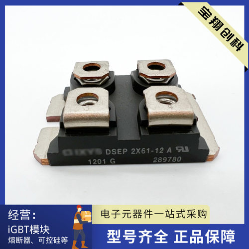 DSEP2X61-12A DSEP2X61-06A DSEP2X61-03A 现货