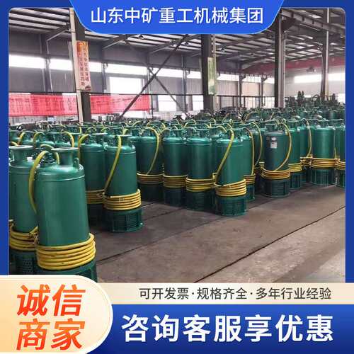 BQS矿用隔爆潜水泵隔爆型潜水排沙电泵BQS15-45-5.5/N防爆潜水泵