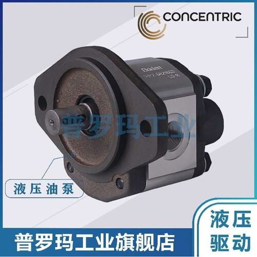 德国CONCENTRIC齿轮泵WP15A1B190R04KA146N  WP15A1B230R04KA146N