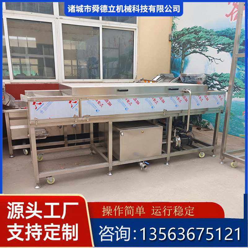 平行式毛刷清洗机毛辊去杂机圣女果槟榔草莓火龙果毛辊清洗设备
