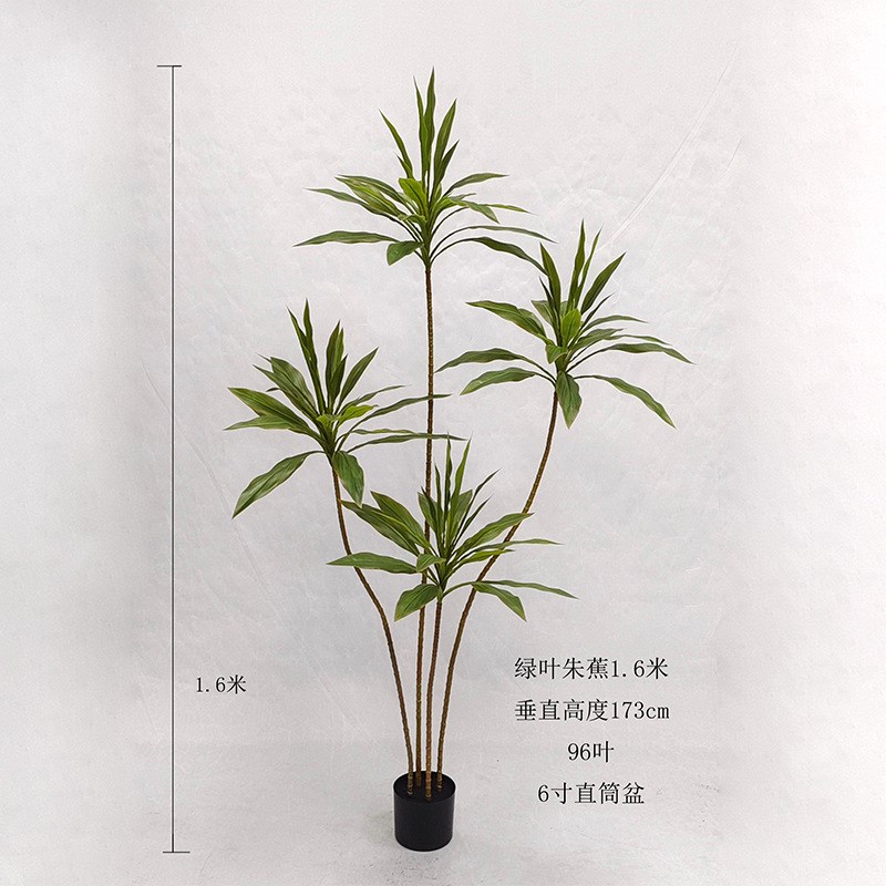 仿真朱蕉盆栽北欧人造永生朱蕉绿植客厅落地摆件摄影道具红绿铁树