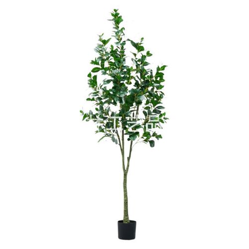 外贸仿真植物豆瓣树可拆装盆栽塑料室内假树造景客厅豆瓣装饰假花