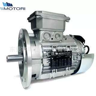 意大利NERI MOTORI电机 AT100LB4B5/2.2kw三相异步电动机