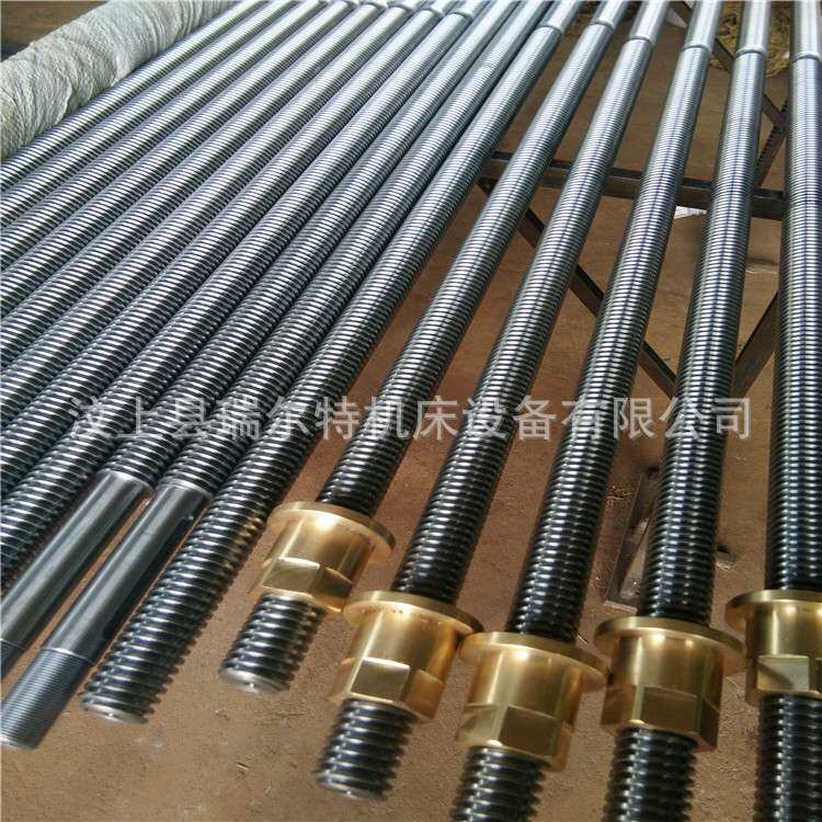汶上瑞尔特专业生产规格齐全滚珠丝杠 量大从优