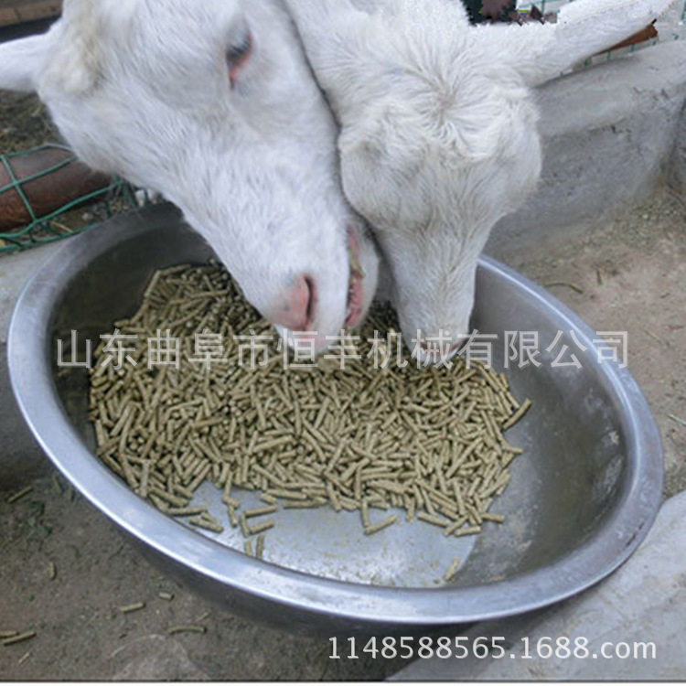 鱼饲料环模颗粒机组水产饲料调制器颗粒饲料机有机饲料颗粒机