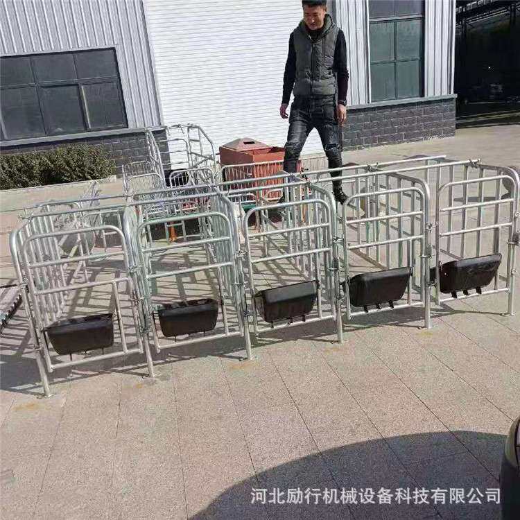 保育床仔猪双体塑料复合板热镀锌管保育栏母猪产床定位栏养猪设备