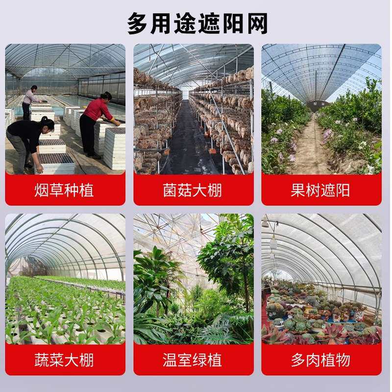白色交织遮阳网 柑橘花卉专用遮阳网加密加厚绿植遮盖降温防晒网