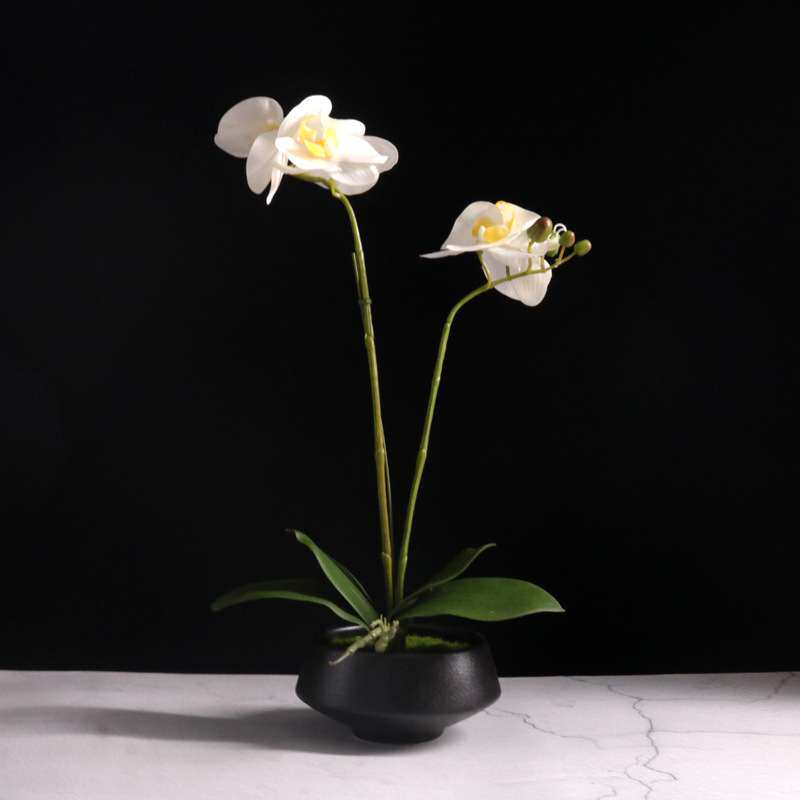 手感蝴蝶兰花仿真插花盆栽假花卉客厅茶几餐桌面玄关装饰摆件摆设