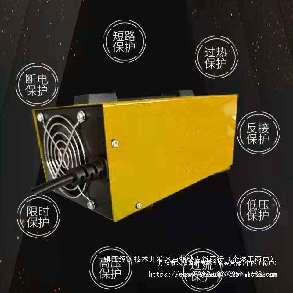 电动三轮车水电瓶充电器48v60v120ah72V自动关机只能充电器其它