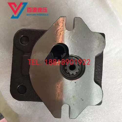 卡特307玉柴85/135神钢75 液压泵PVC80 90R提升器/调节器泵胆平面