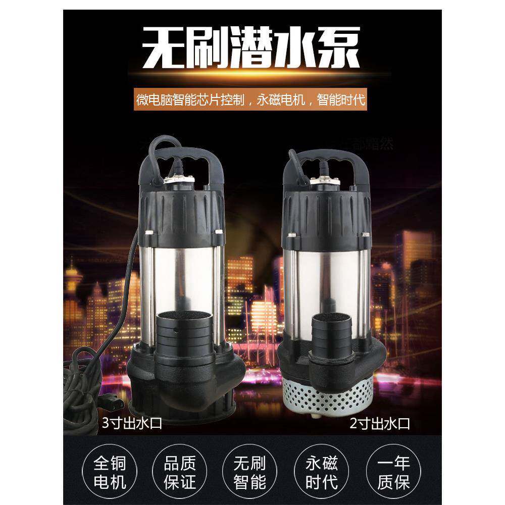 智能永磁无刷直流潜水泵48v60v电频车抽水机家用大功率农用潜水泵