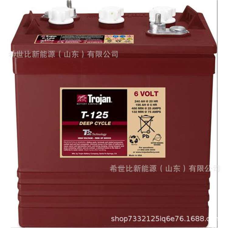 Trojan邱健蓄电池 T-145洗地机6V260AH升降机观光车堆高车