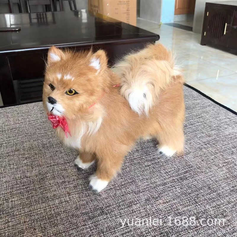 仿真博美犬摆件玩具创意饰品名犬道具仿真博美名犬睡狗模型拍照