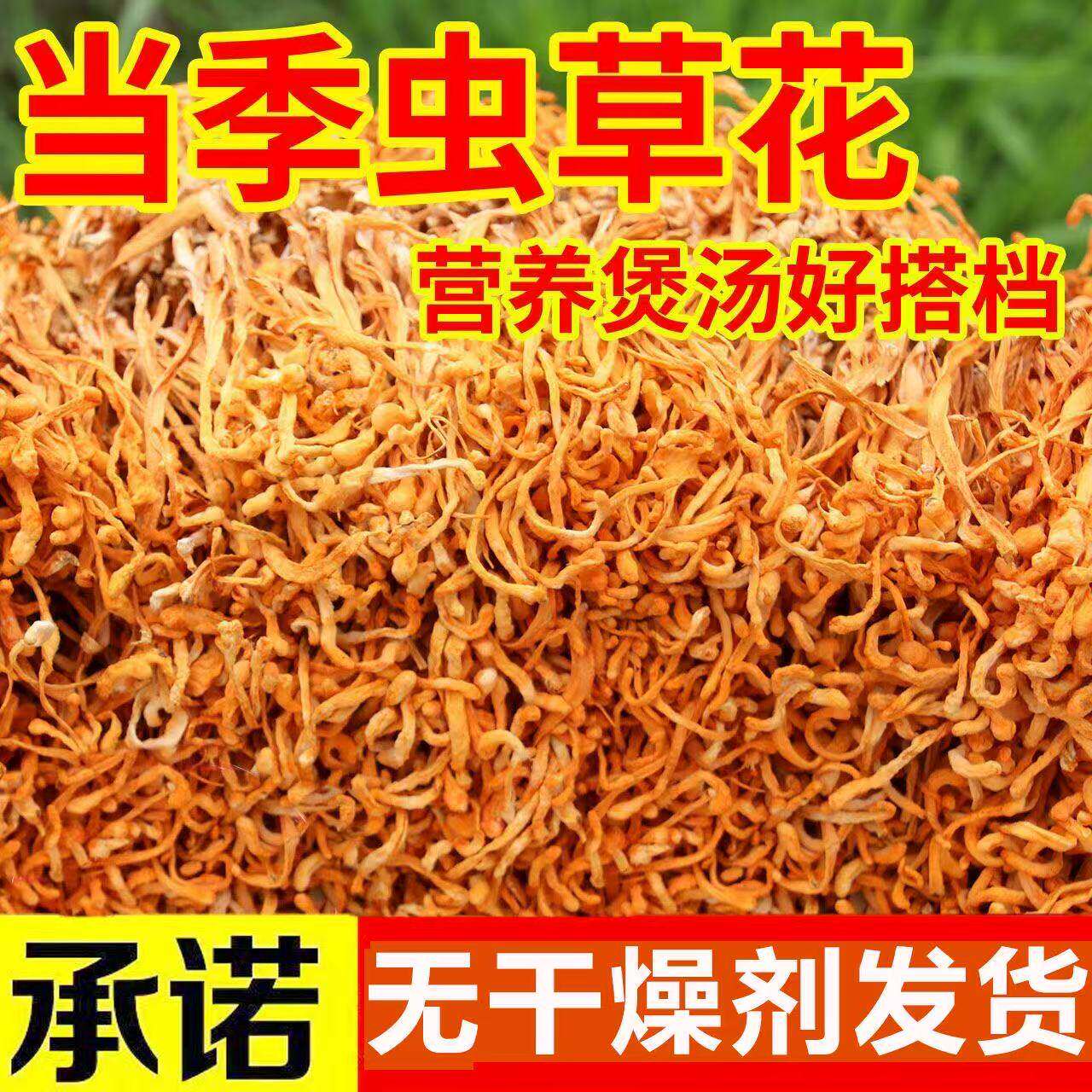 特产虫草花干货新货干净无硫农家特产冬虫草菌菇金虫草煲汤食材