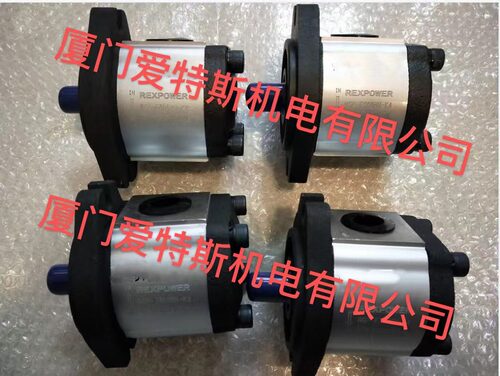 锐力齿轮泵RGP-F306R等现货