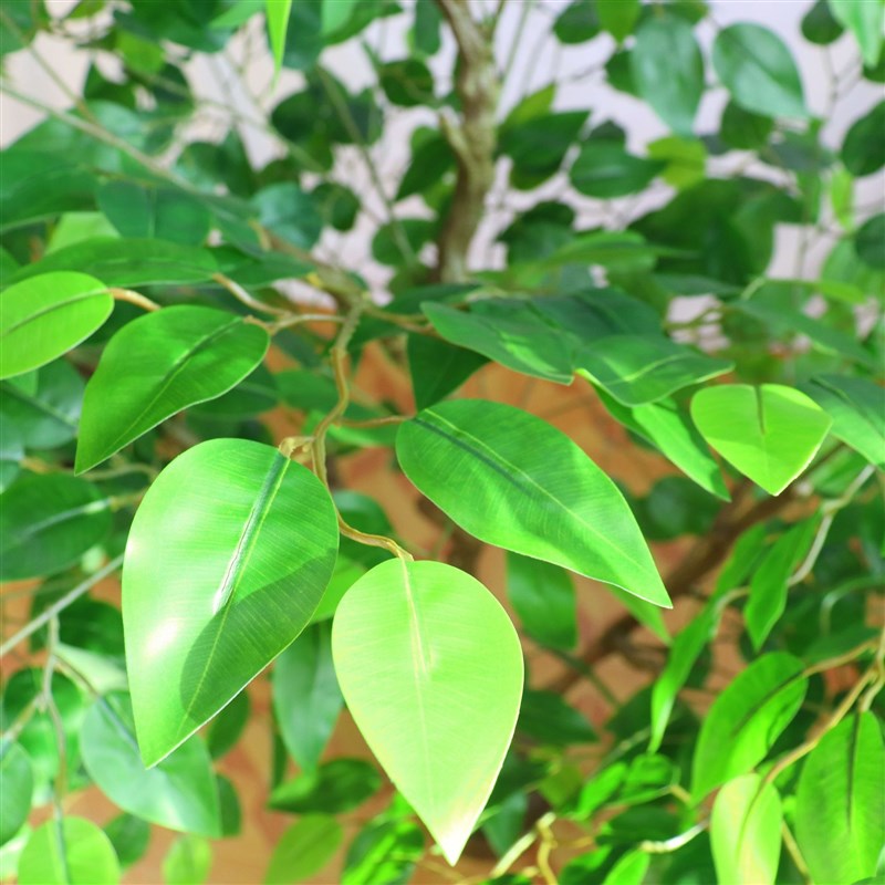 北欧仿真植物榕树盆栽塑料大绿植室内假树造景客厅摆件装饰榕树