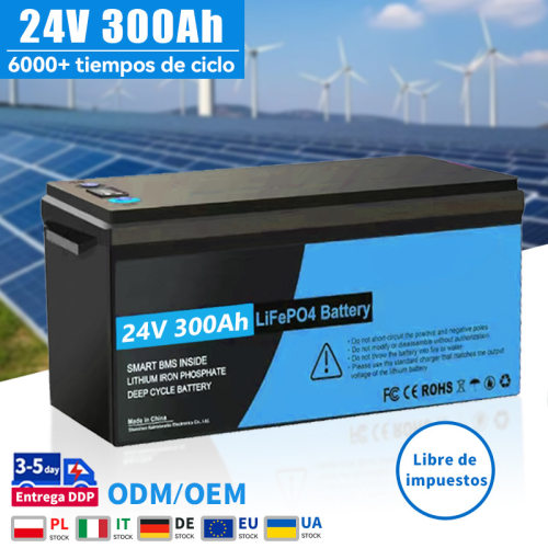 12V/24V锂离子电池充电套装