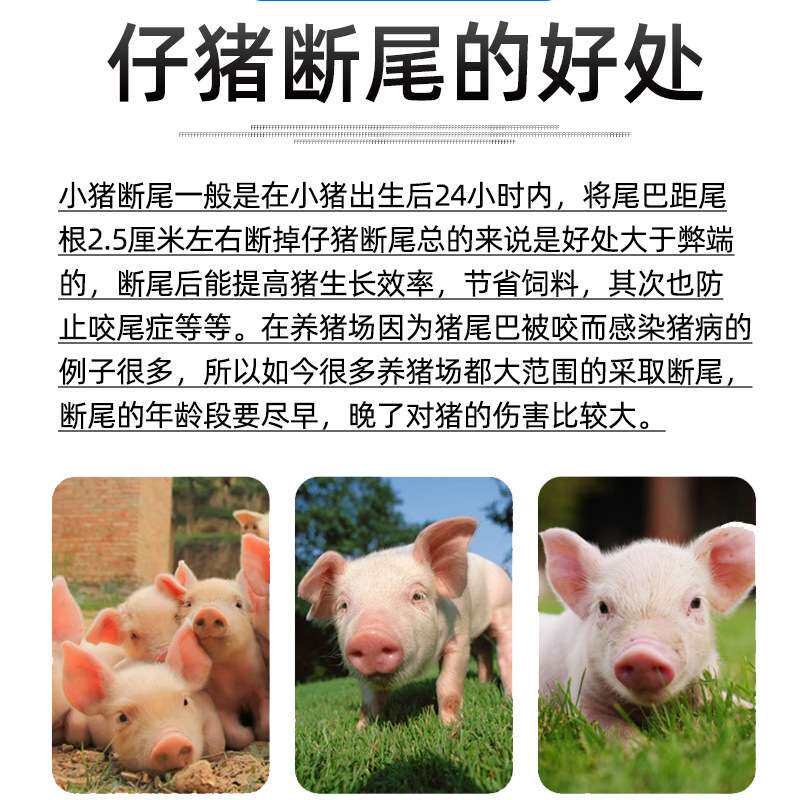 台式电热断尾钳 电热断尾台 仔猪断尾器 规模猪场断尾台 猪场用