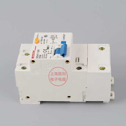 家用空气开关 漏电断路器DZ471P+N 100A 125A 保护器