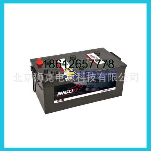 BISON蓄电池 MF N100 12V100AH 游艇  拖船  汽车配套电池