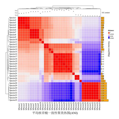 生信分析分子对接转录组网络药理学孟德尔随机化TCGA GEO数据库