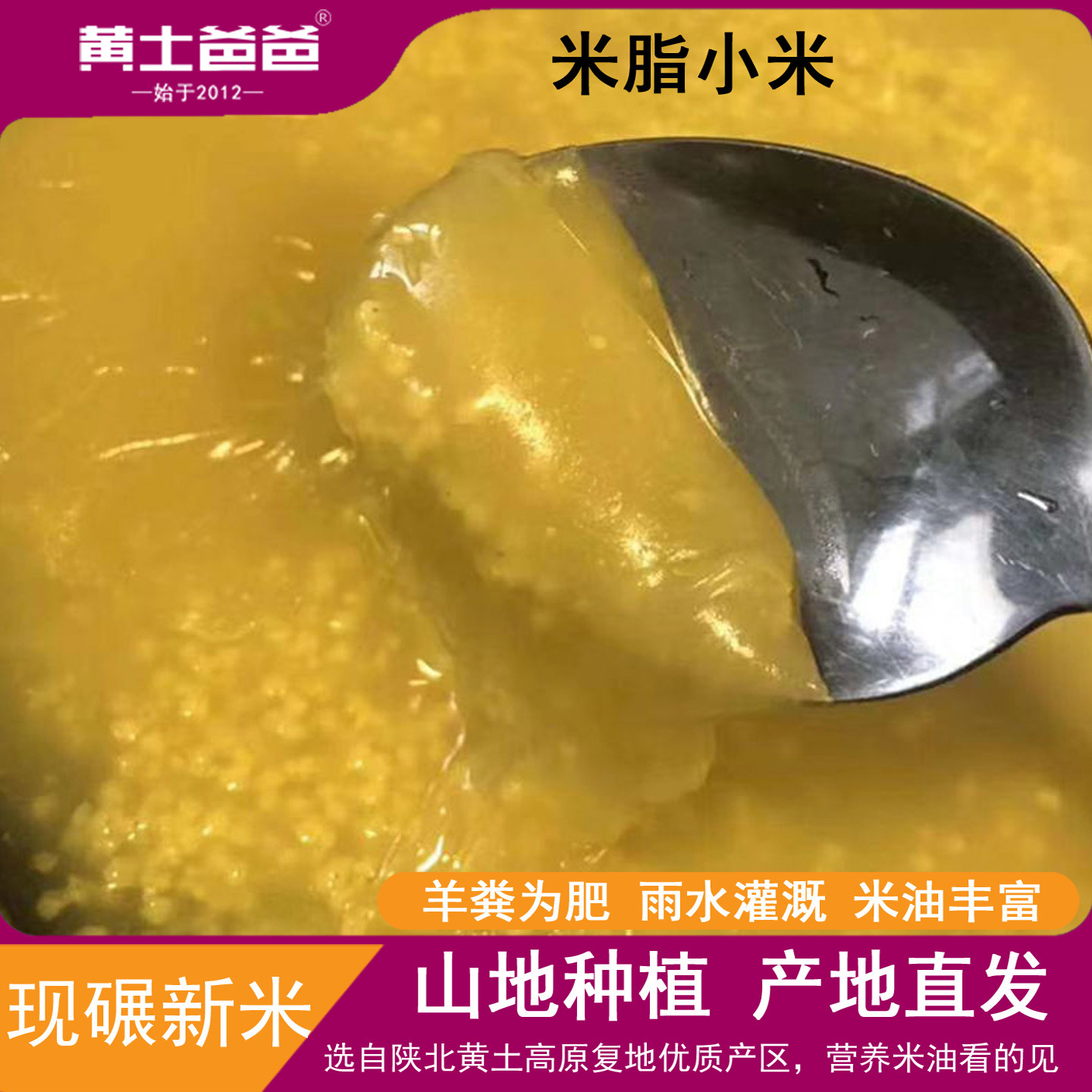 黄土爸爸陕北黄小米新米5斤