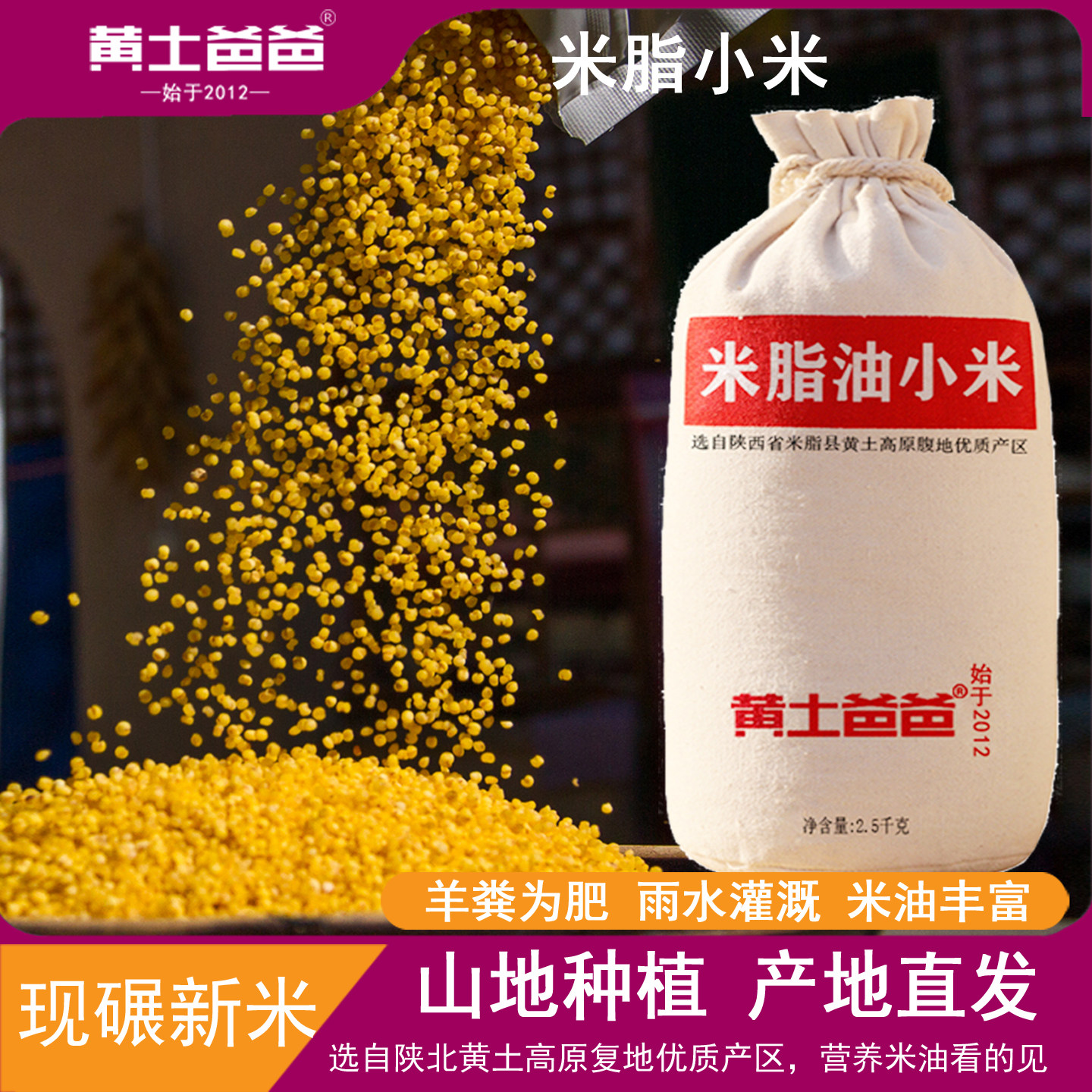 黄土爸爸陕北黄小米2025新米