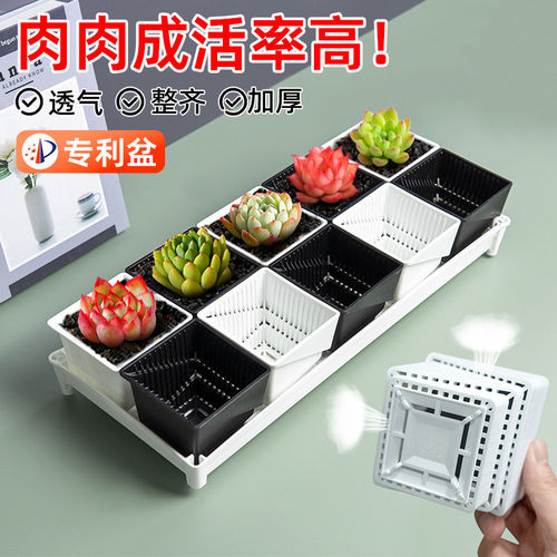 美莳多肉专用控根花盆塑料透气树脂白色长条形套装组合方形带托盘