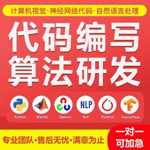 python代编程深度学习算法创新数据可视化代码调试指导答疑定制