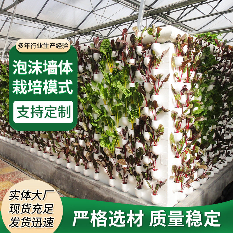 蔬菜水果大棚无土栽培种植墙体栽培模式园林景观泡沫墙体种植