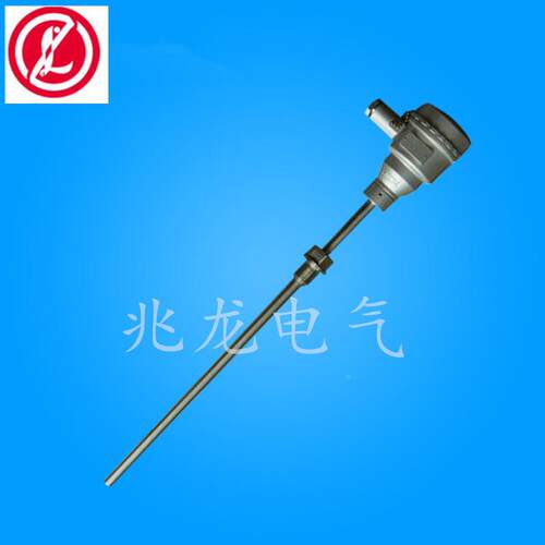耐高温防爆热WZP2774-0热电阻0pt10探电头式热阻防腐电热电阻
