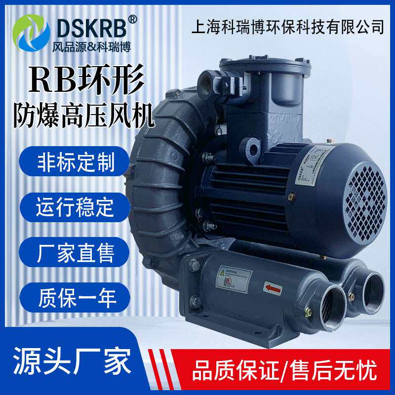 RB-750A高压漩涡风机 0.75KW耐高温隔热风机 环形防爆鼓风机