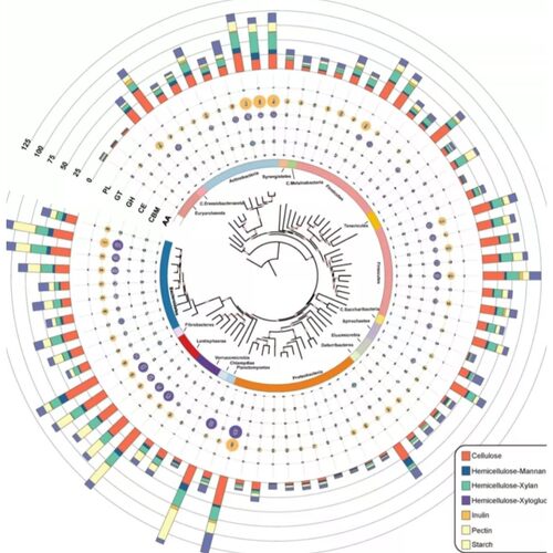 CLIP-seq RBP结合 RNA结合蛋白 调控命运 稳定性 翻译 多层次