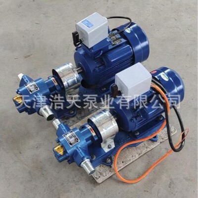 单相220V齿轮泵TDCDB 柴油 机油 润滑油 胶水 聚氨酯 稠油齿轮泵