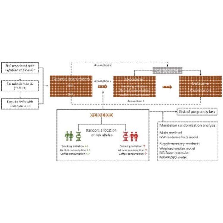 孟德尔随机化代做一区共病思路定制遗传相关GWAS分析流行病统计