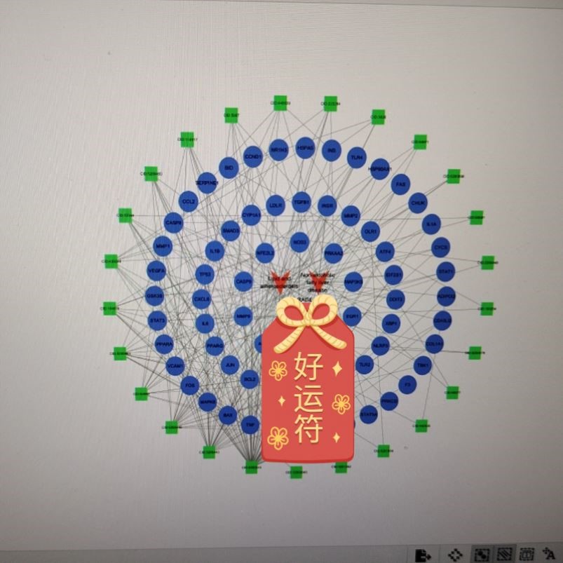 网络药理学毒理学 中药复方疾病分子对接 靶点 5-9分整套项目服务