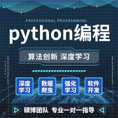 python深度学习算法创新强化学习nlp机器学习爬虫cv程序指导跑通