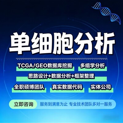 Materials Studio 零基础实例教程 分子吸附计算 DFT计算实操课程