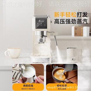 Fxunshi/华迅仕 MD-215华迅MD仕-20意33MD-215TA家用小半型咖啡机