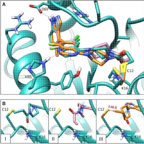 专业分子对接，蛋白蛋白对接，以及化合物设计思路指导