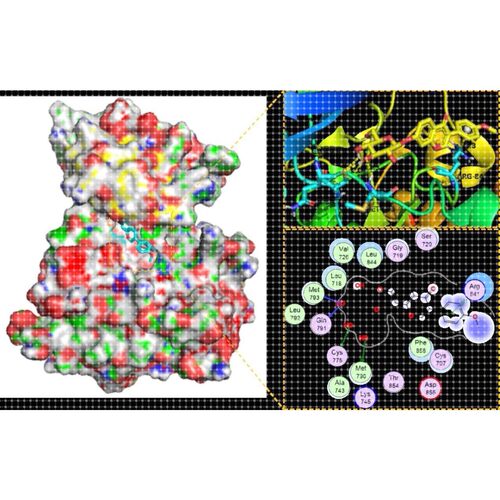 分子对接 共价对接 批量虚拟筛选 蛋白与蛋白 DNA/RNA-蛋白 柔性