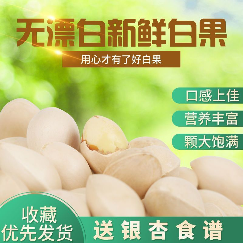 新鲜带壳白果银杏果无漂白原生态邳州特产优质干货生百果子